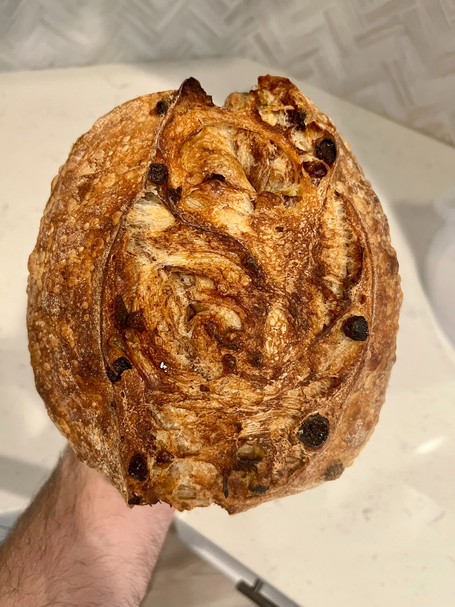 Pumpkin chocolate chip sourdough loaf